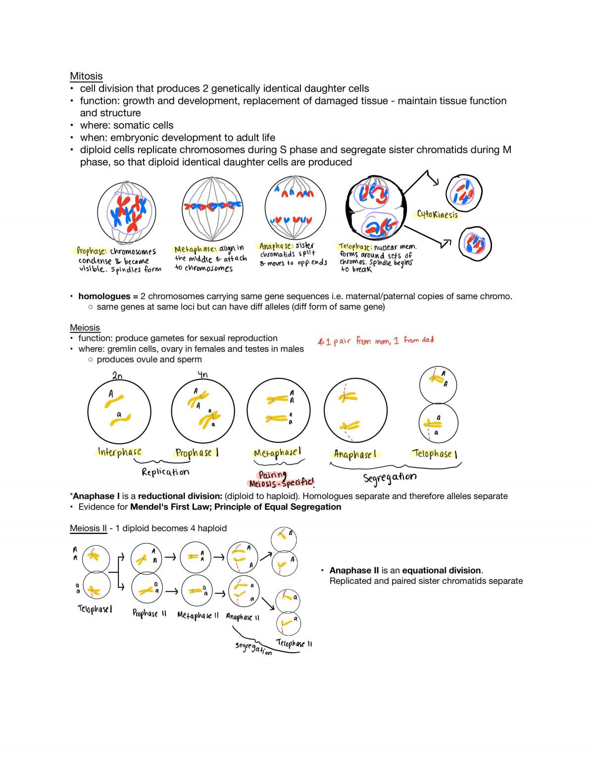 Complete Genetics Notes BIO 2C03 - Page 8