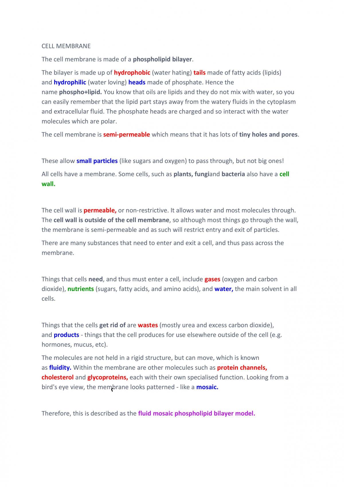 Full year 11 human bio notes  - Page 2