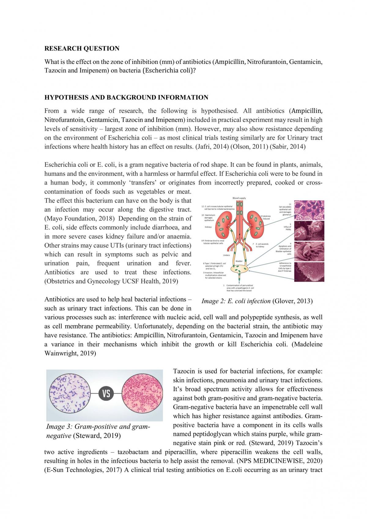 Practical Investigation Antibiotics - Page 2