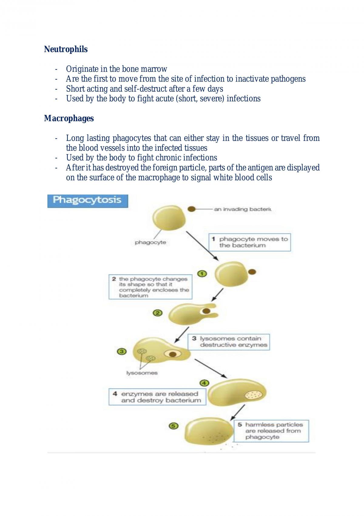 Module 7: Infectious Disease Notes - Page 24