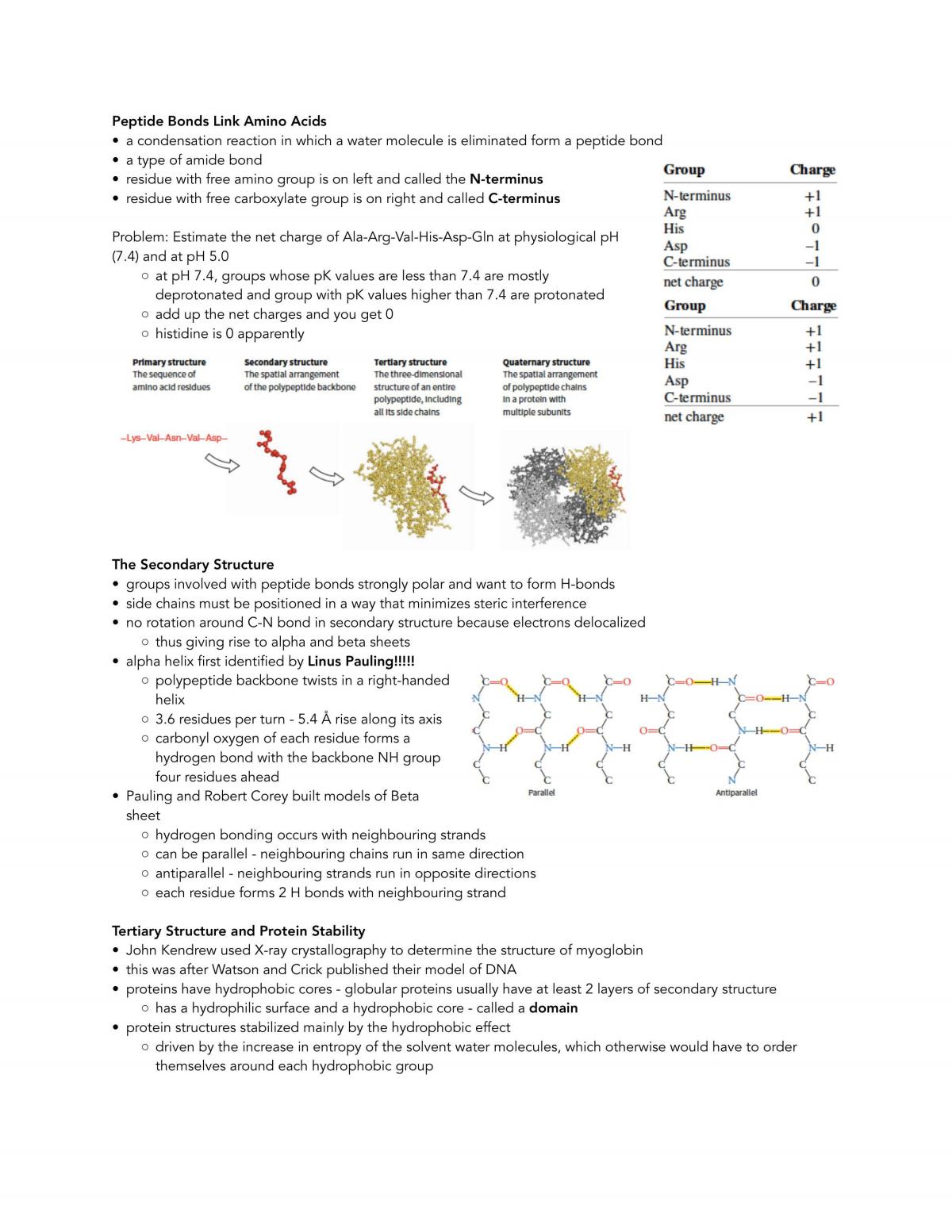 Complete Proteins and Nucleic Acids Textbook Notes - Page 9