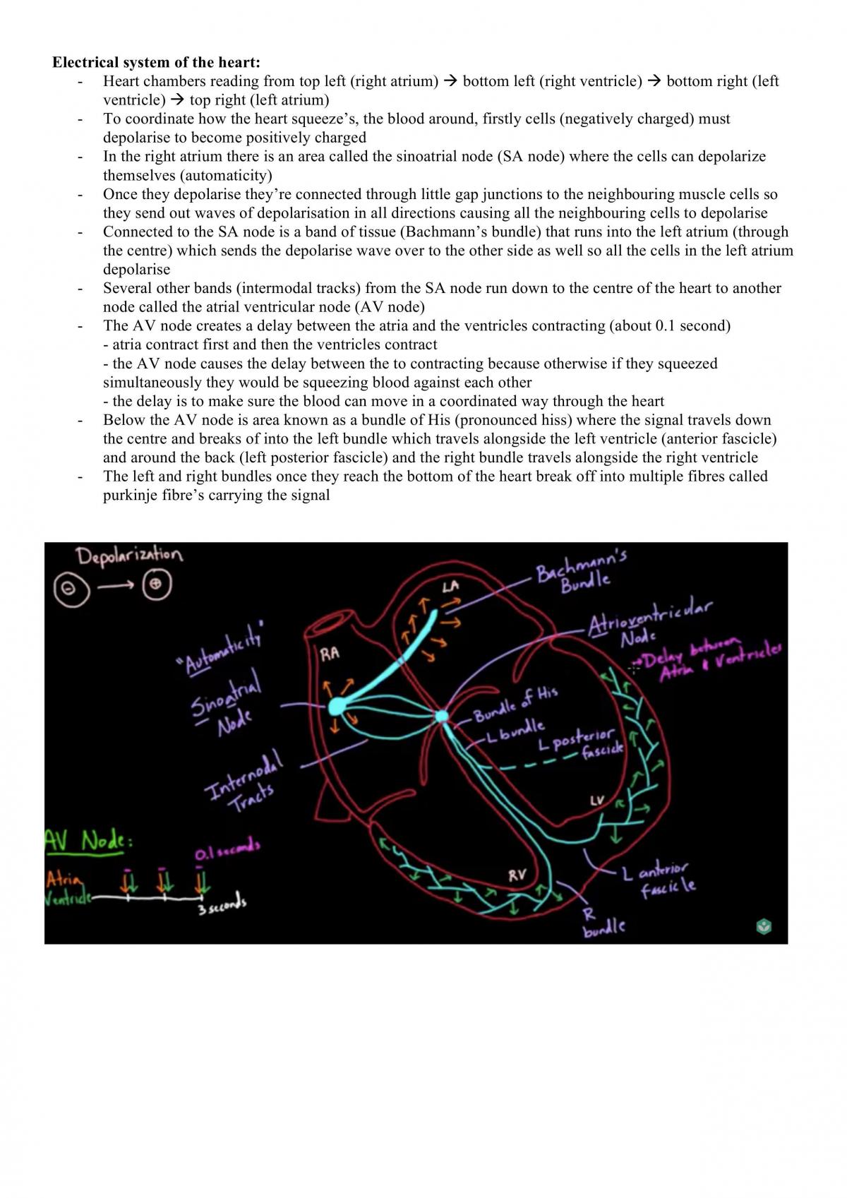 HNN227 Exam Notes - Page 18