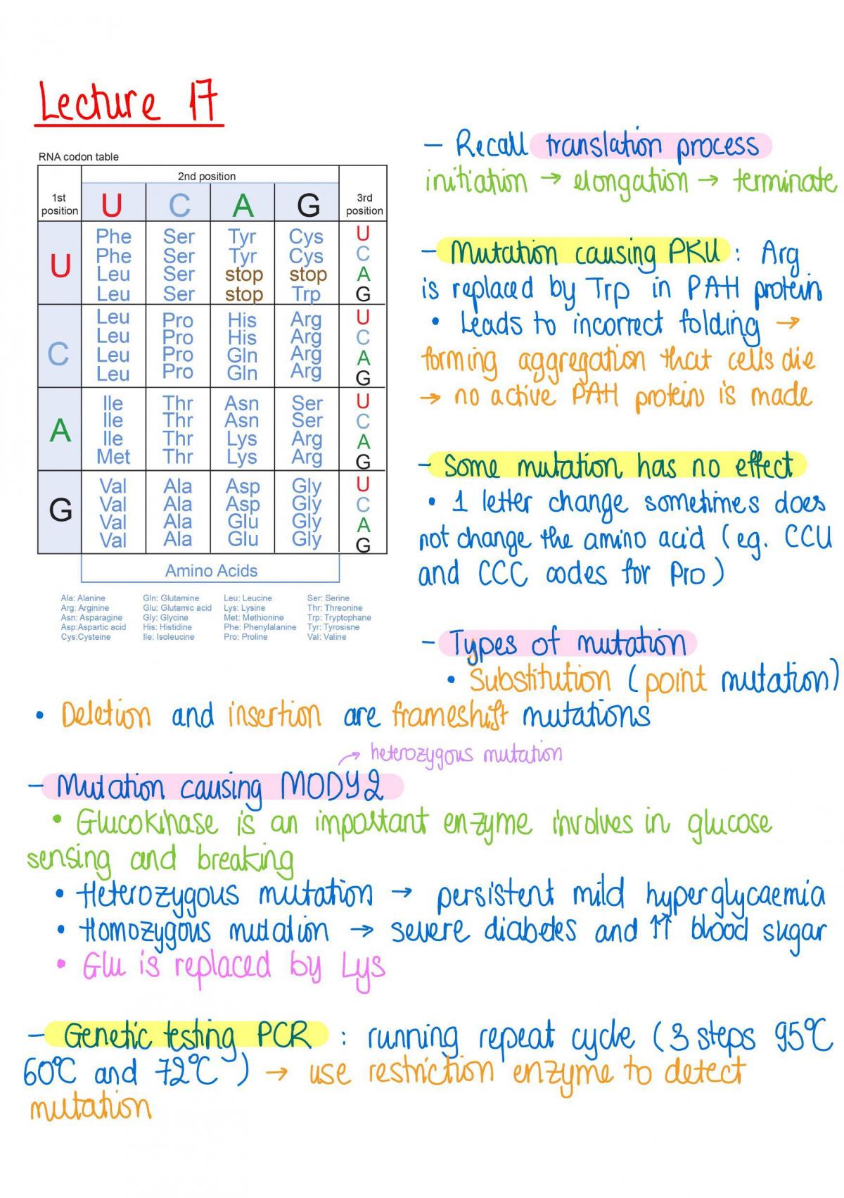 Foundations of Biochemistry notes - Page 19