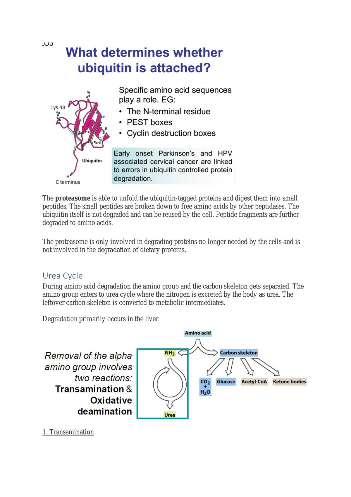 BIOC2181 Final Notes - Page 16