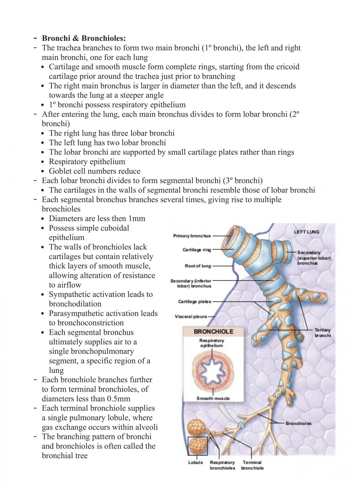 HUBS192 - Complete Study Notes - Page 53