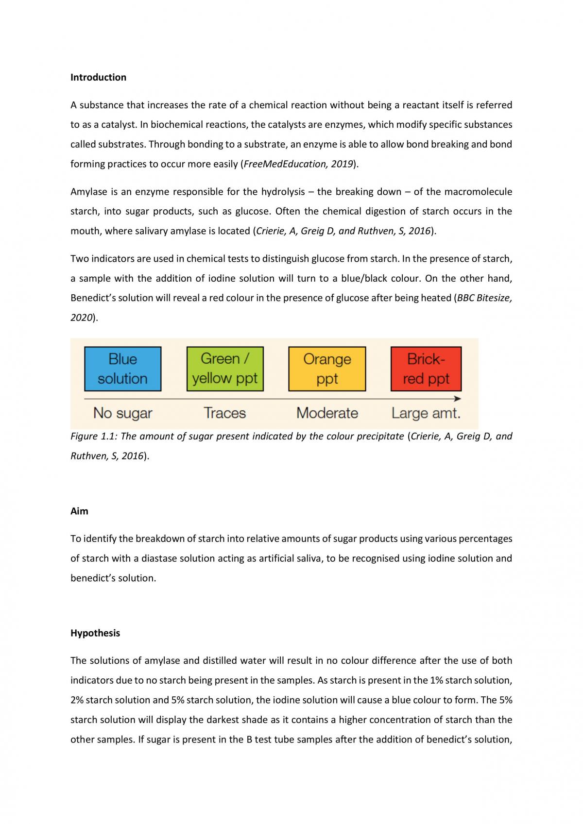 Starch Digestion Practical Report  - Page 2