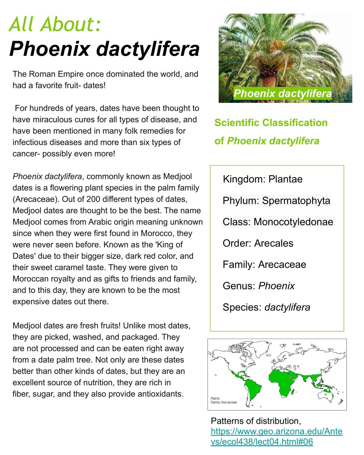 The Plant That Changed the World - Page 2
