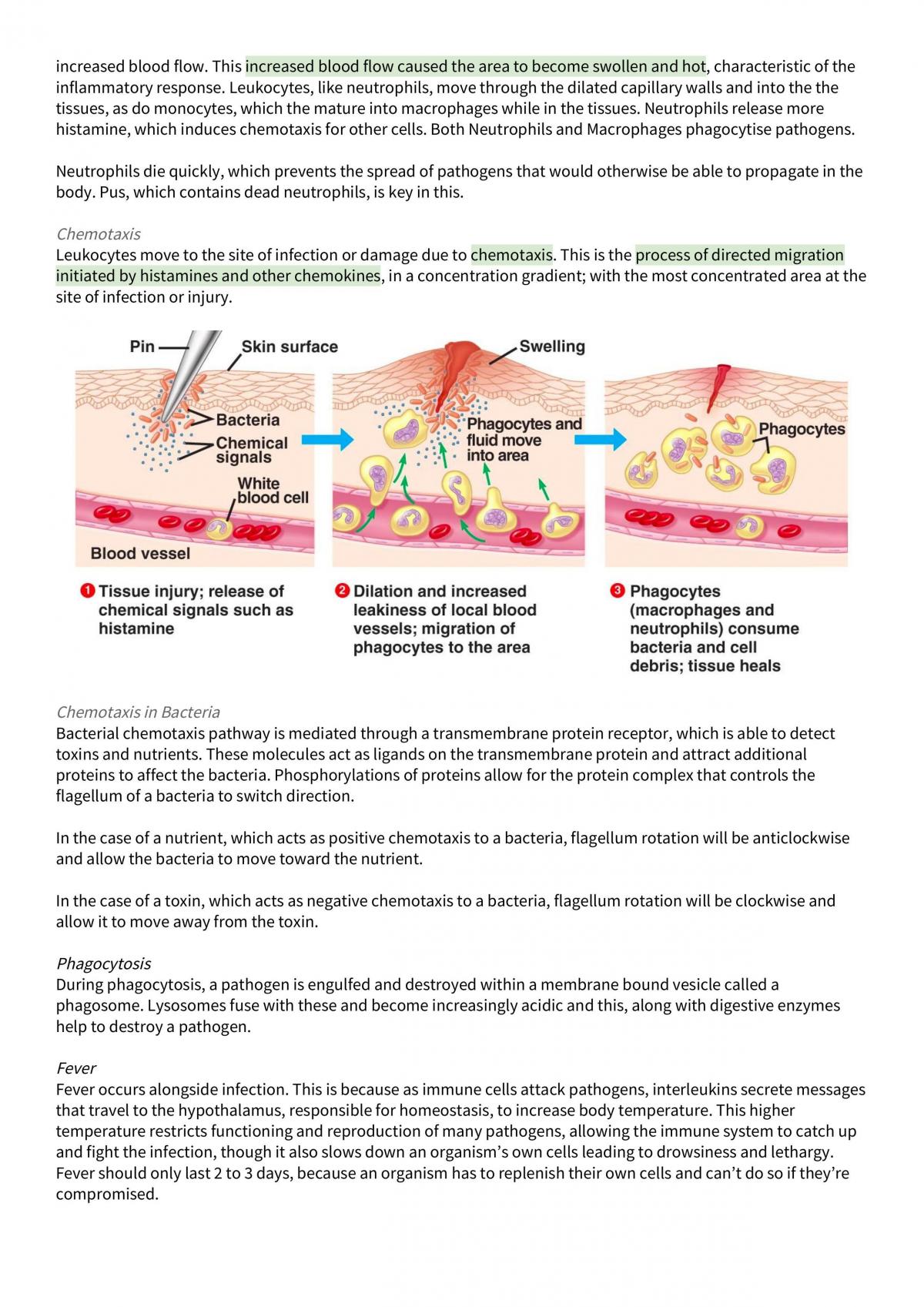 Biology Unit 3&4 - Page 33