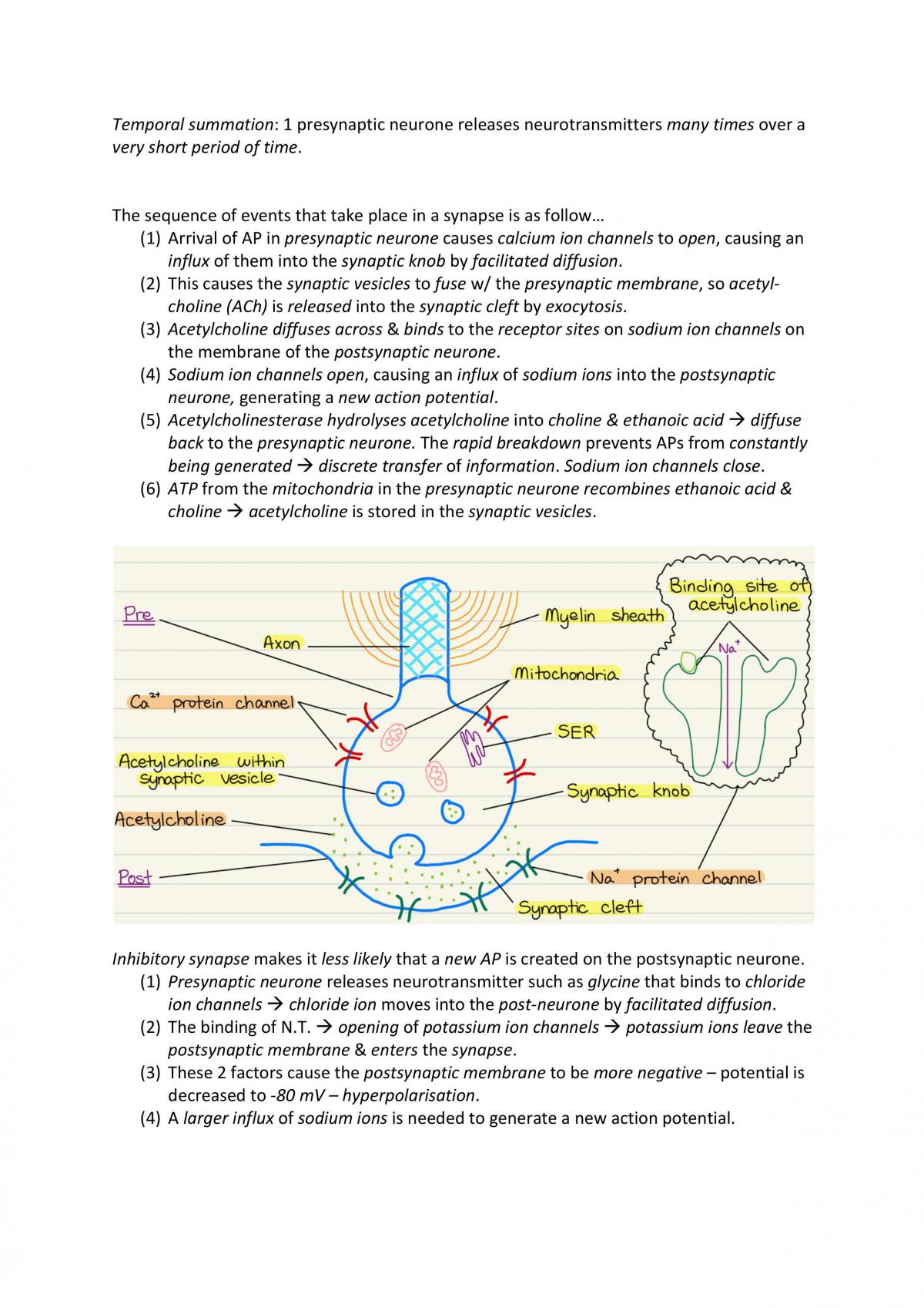 Biology A2 Notes - Page 11