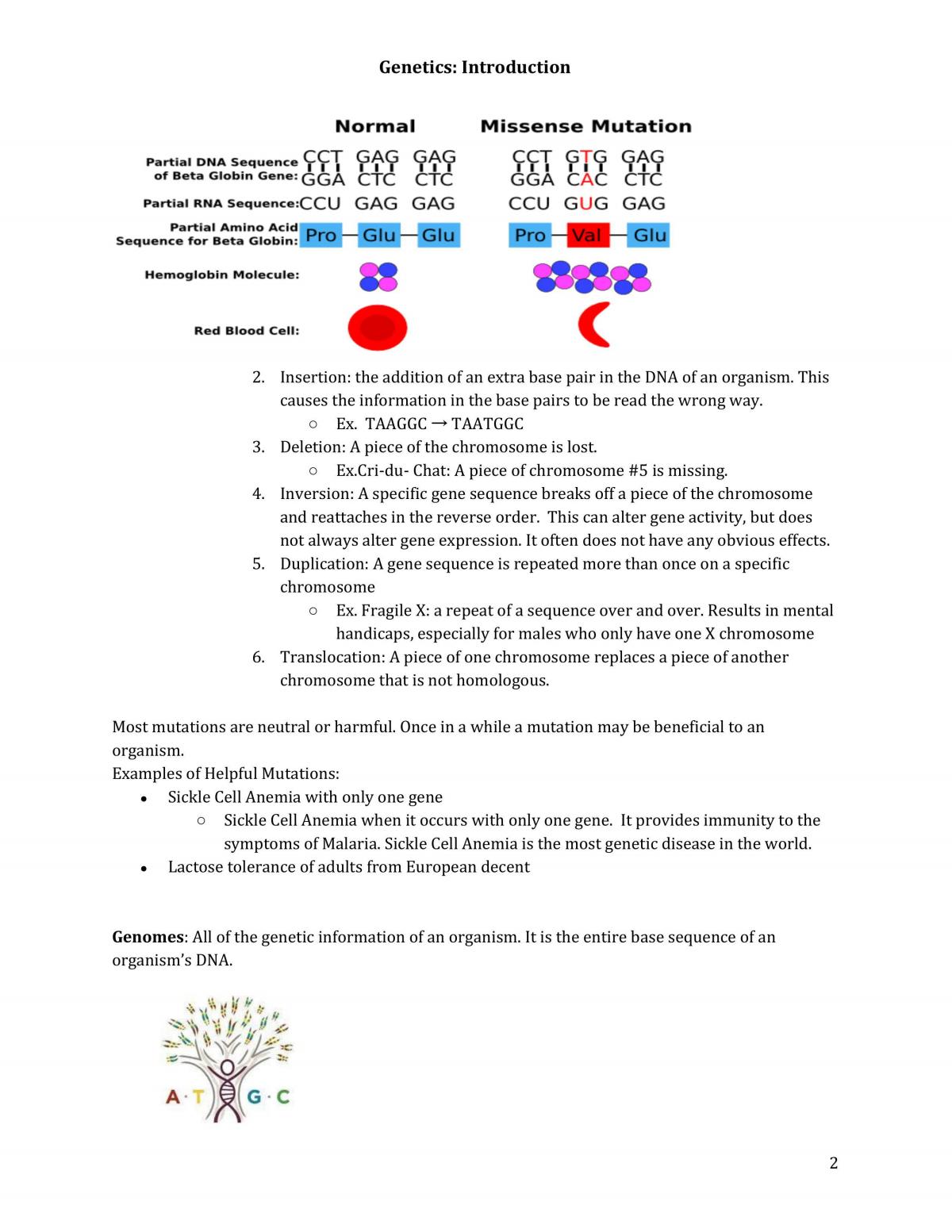Biology Complete Notes with Diagrams  - Page 25