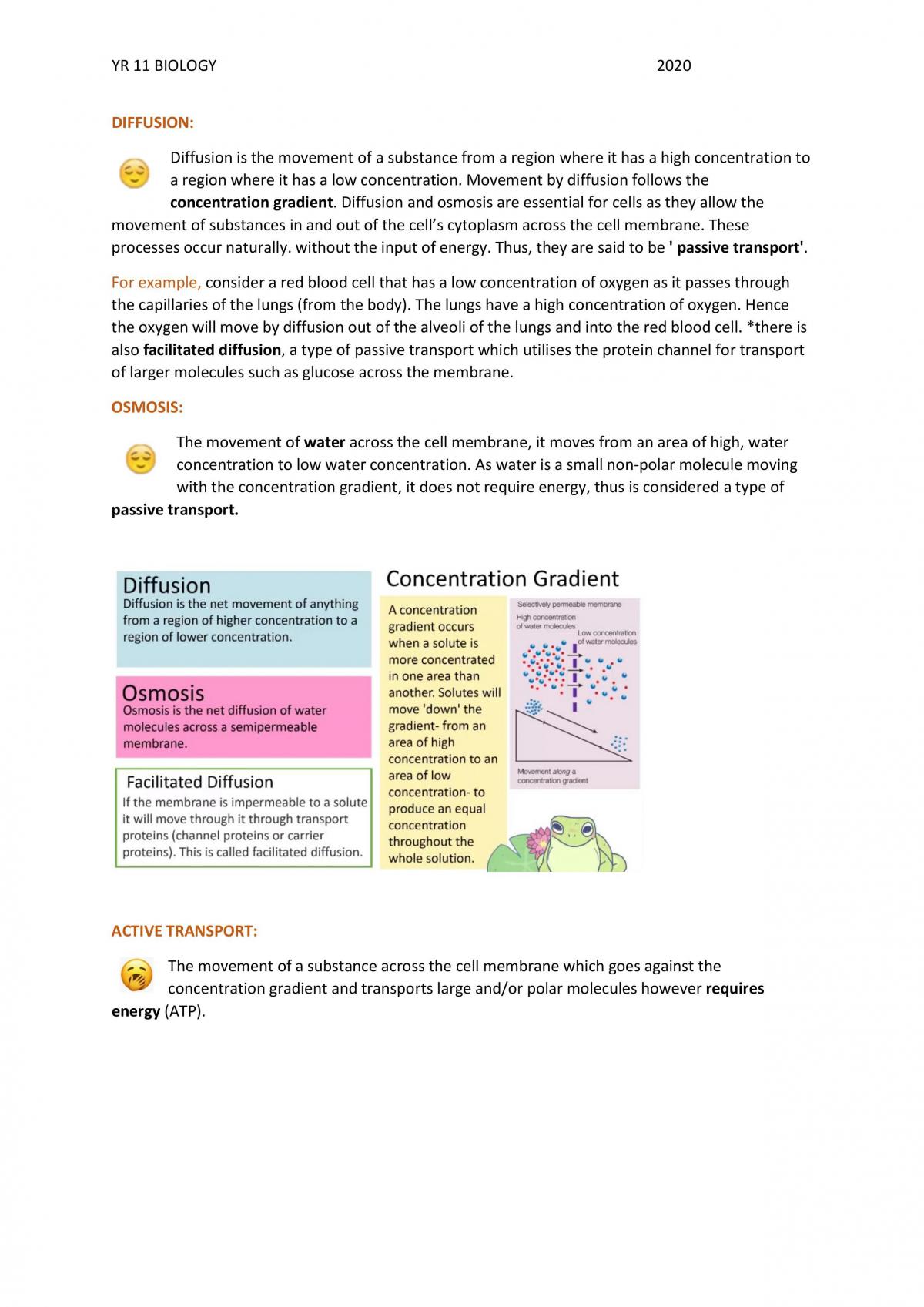Preliminary Biology Notes - Page 5