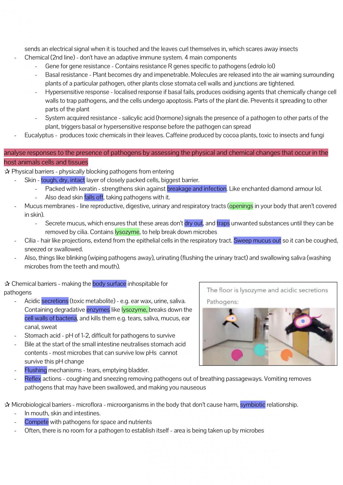 Module 7 Complete Notes - Page 13