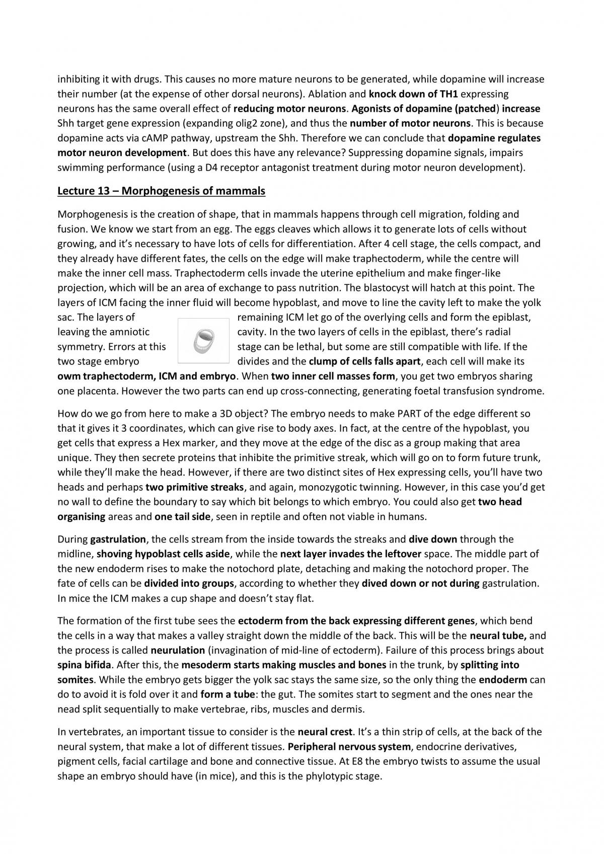 Complete notes on Developmental Biology - Page 11
