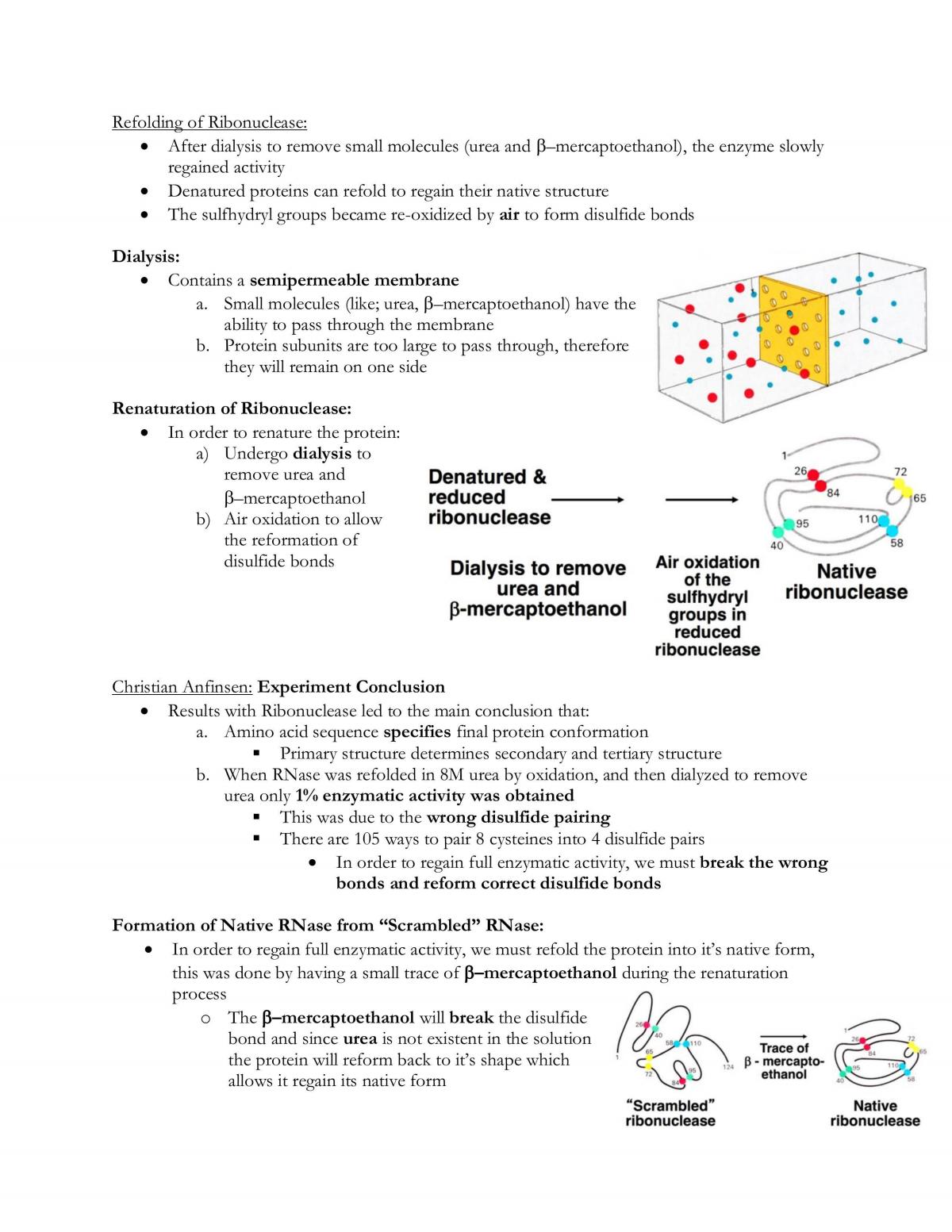BCH210 Comprehensive Study Guide - Page 34