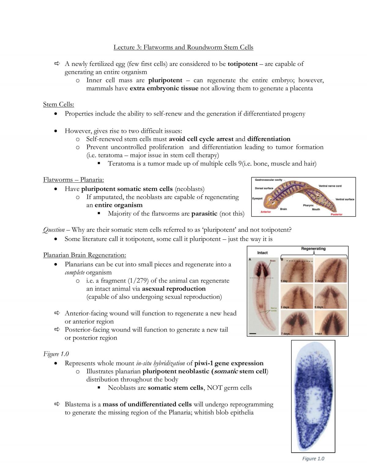 Stem Cell Biology: Developmental Models and Cell-based Therapeutics Comprehensive Study Guide - Page 15