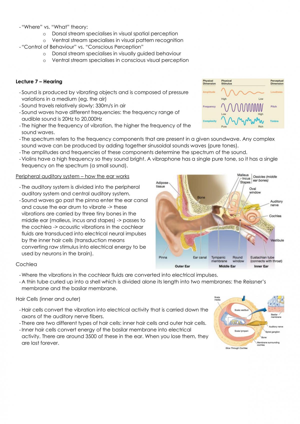 Neuroscience notes - Page 10