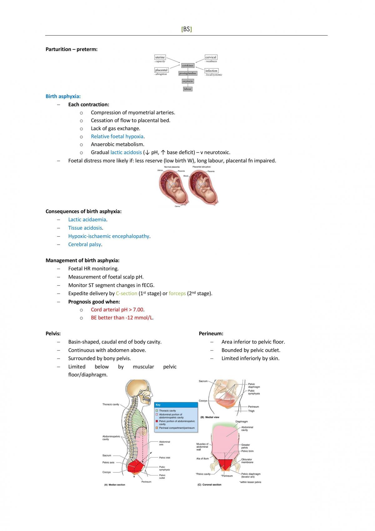 Body Systems - Complete Study Notes - Page 35