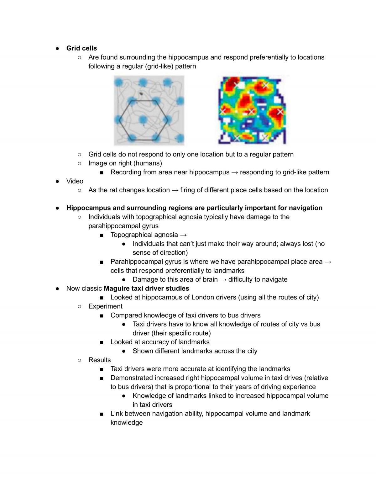 Notes for Sensation and Perception: Where the World Meets the Brain - Page 110