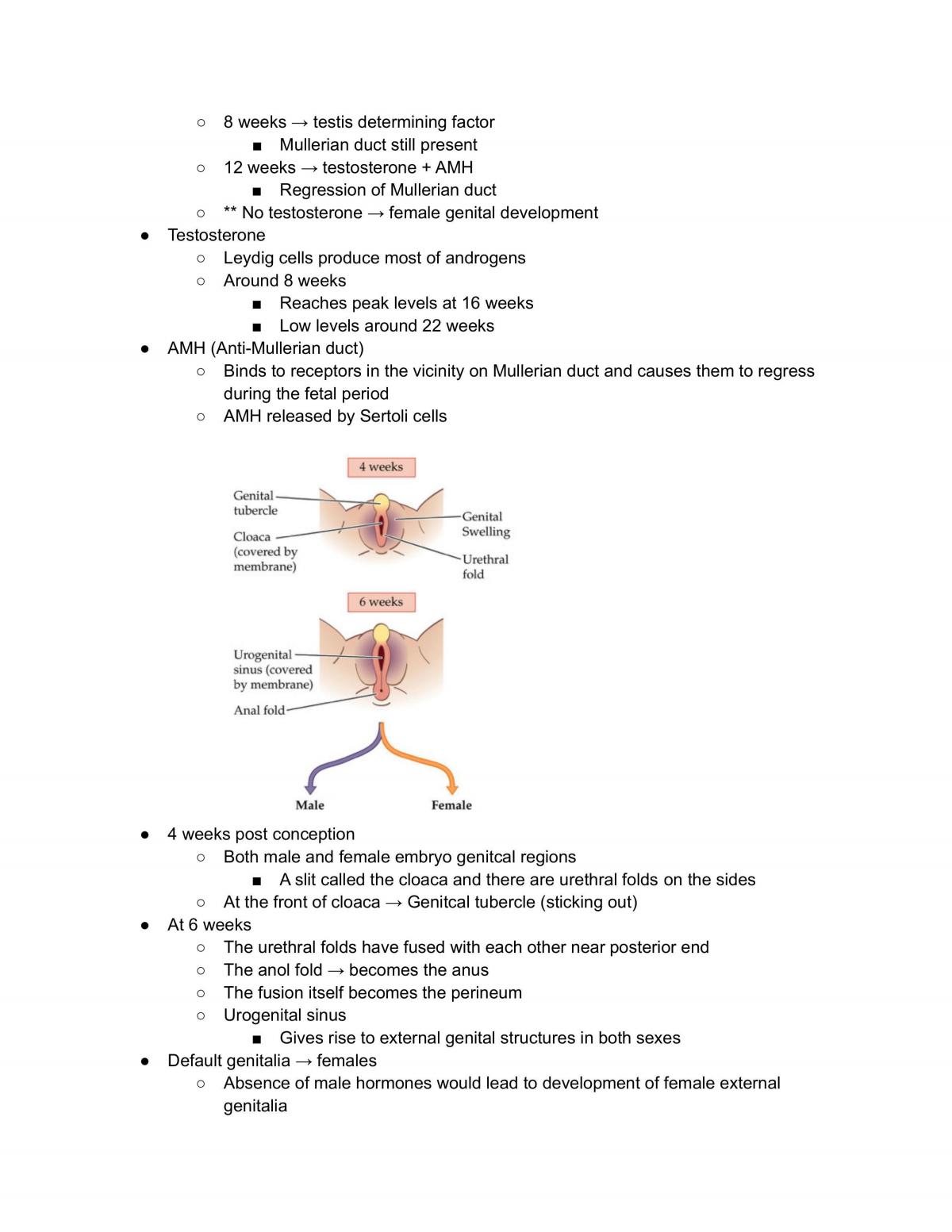 Notes for Biopsychology of Sex - Page 89