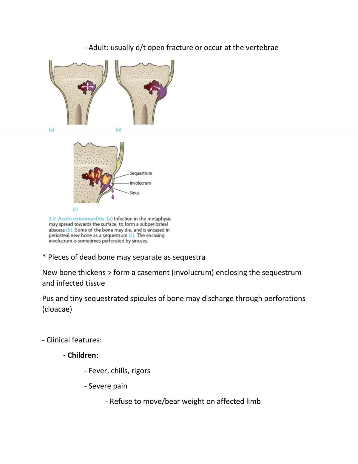 Orthopaedics Notes - Page 142