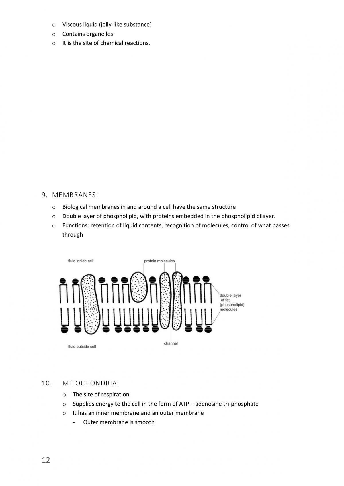 Higher level biology notes - Page 12