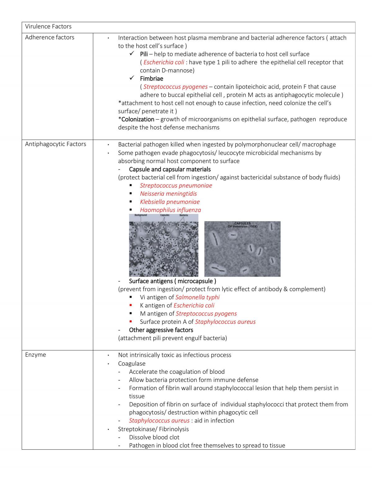 Basic Microbiology  - Page 11