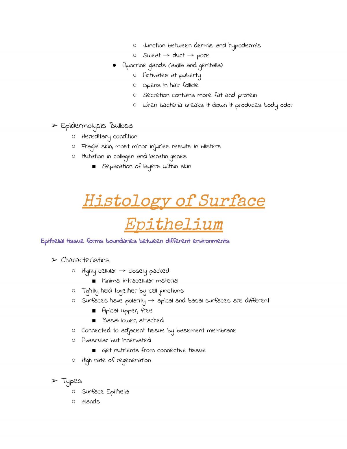 Complete Study Notes FM1010 Histology - Page 14