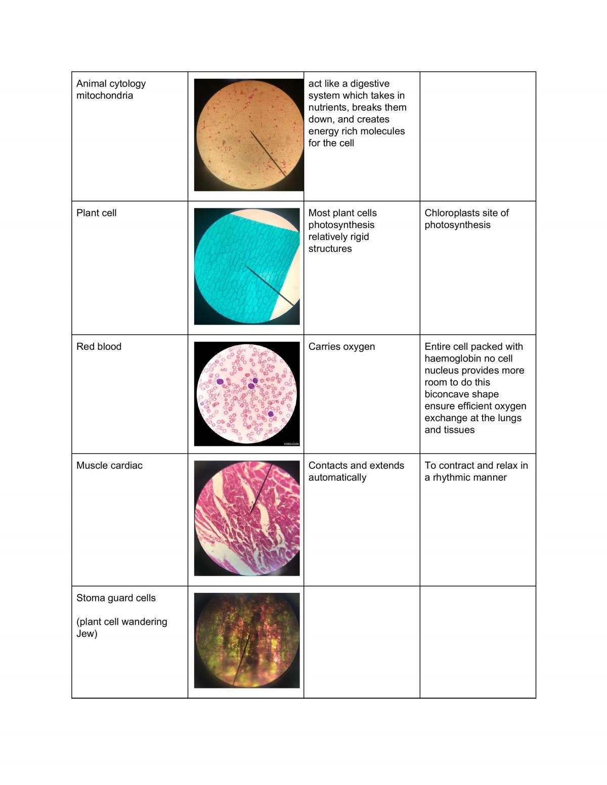 Biology Notes  - Page 14