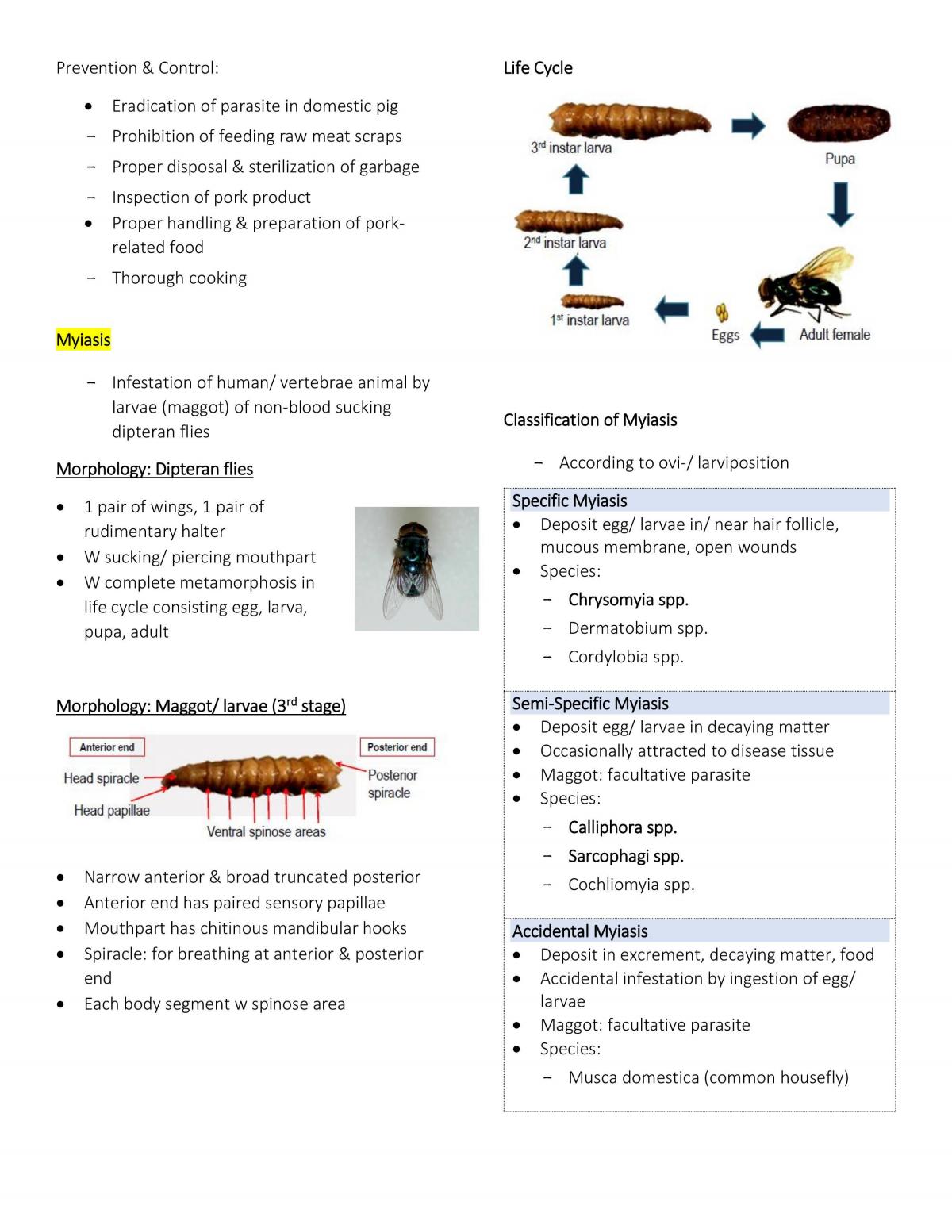 Basic Musculoskeletal Notes - Page 15