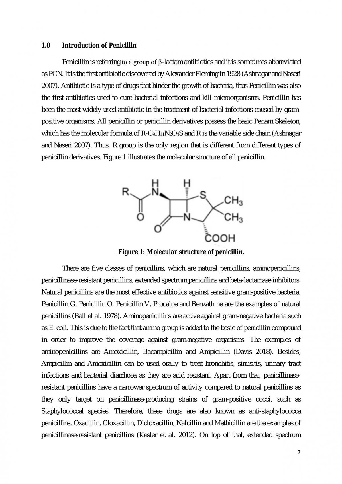 Production of Penicillin - Page 2
