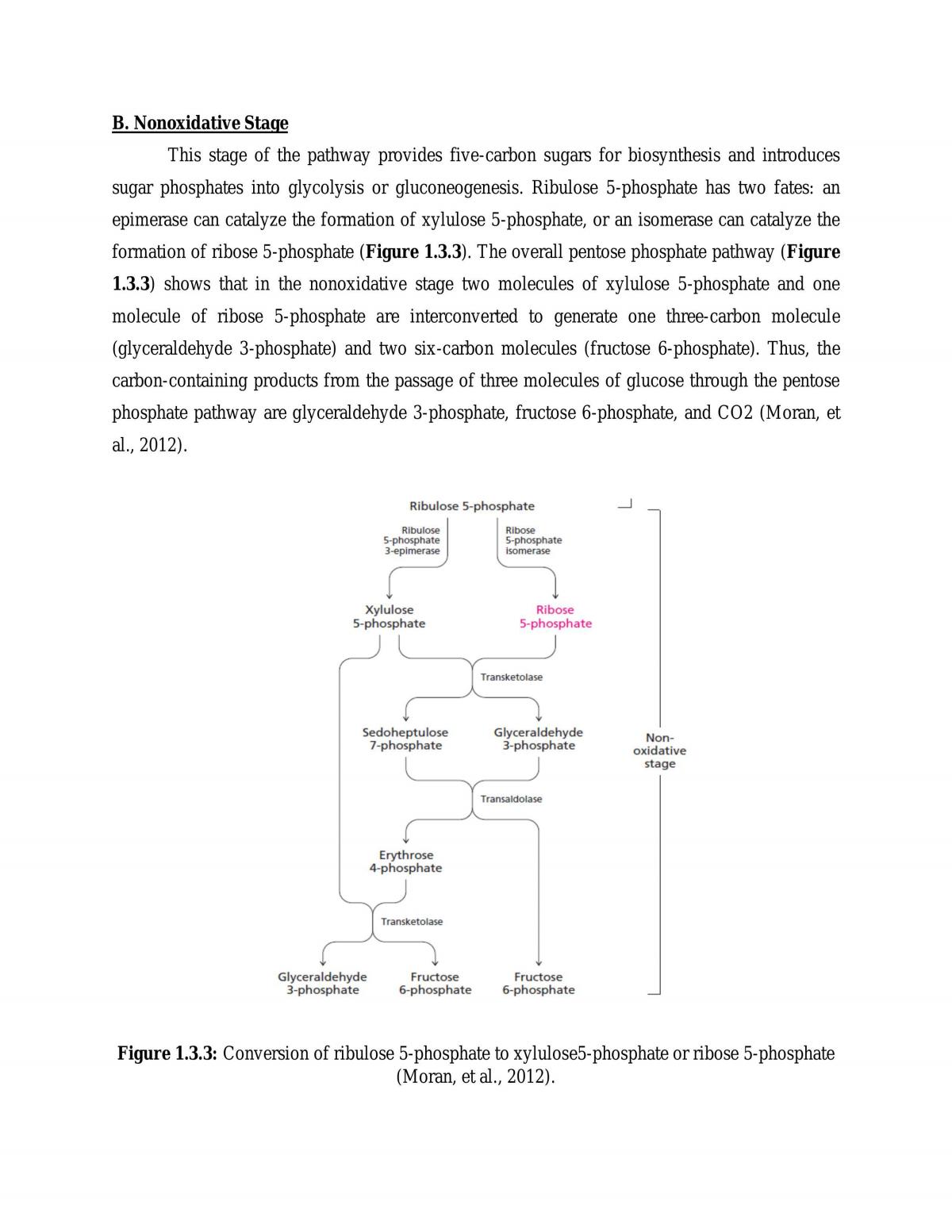 Carbohydrate Report - Page 11