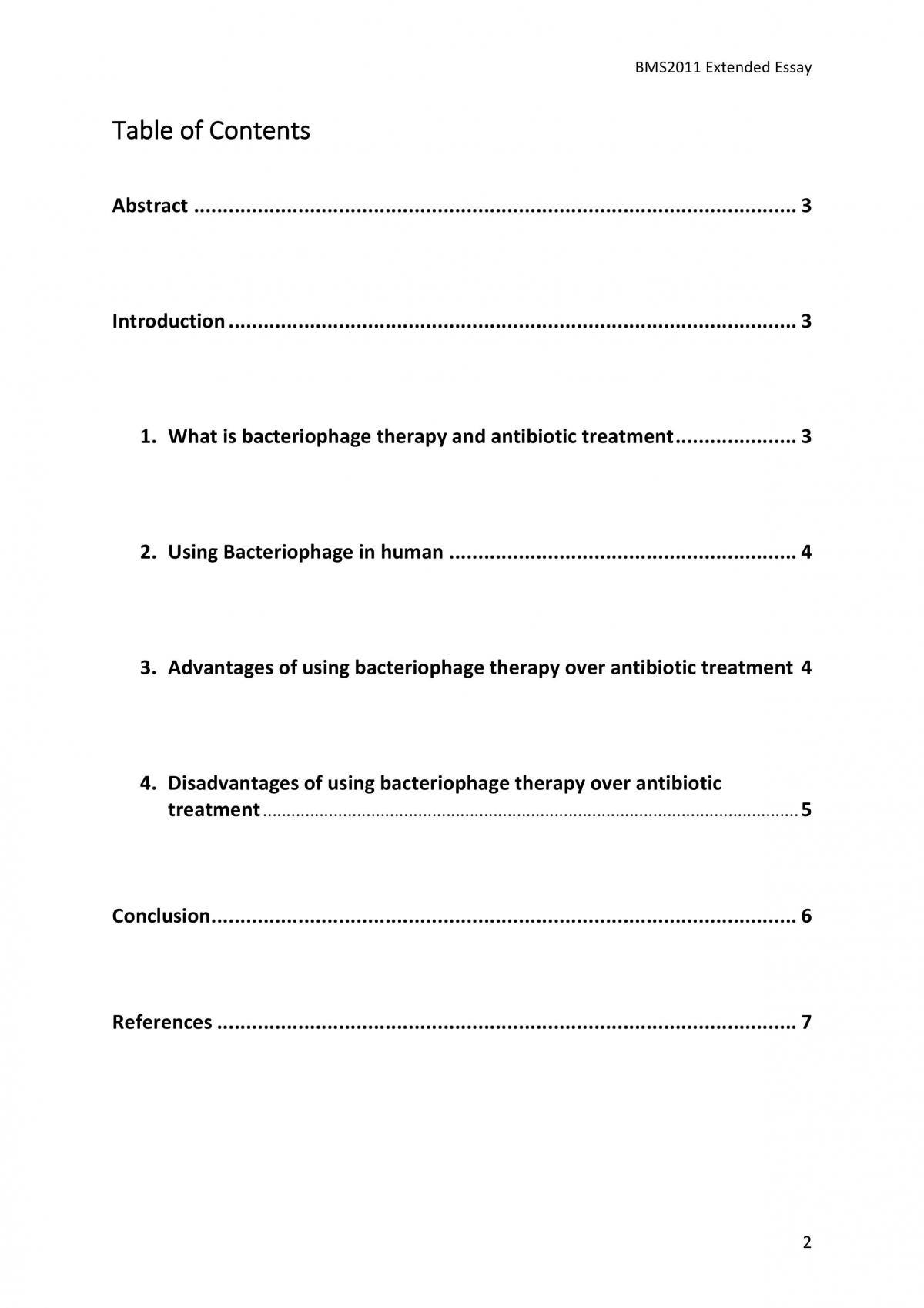 Extended essay - Page 2