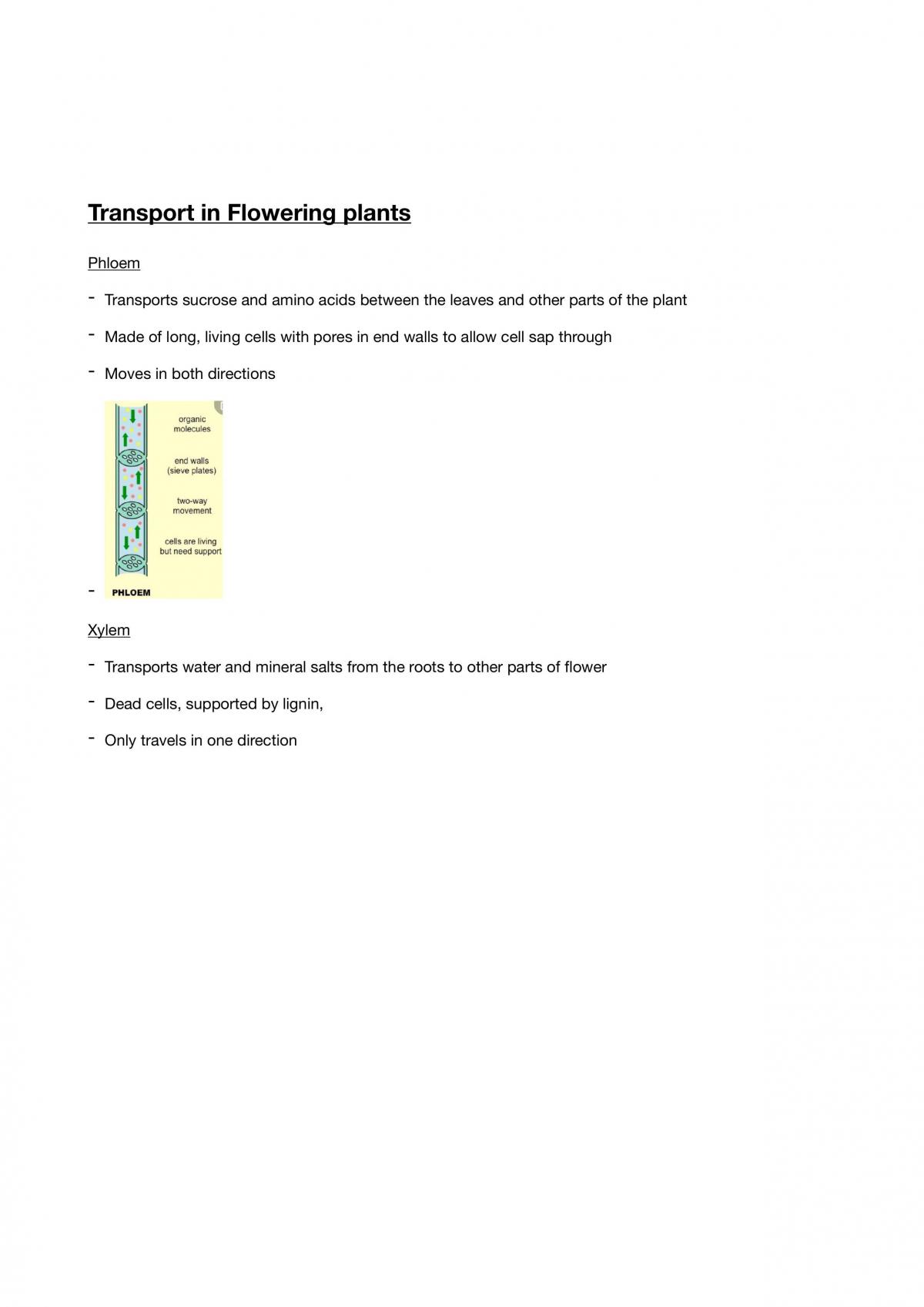 Study Notes for GCSE Biology - Page 15