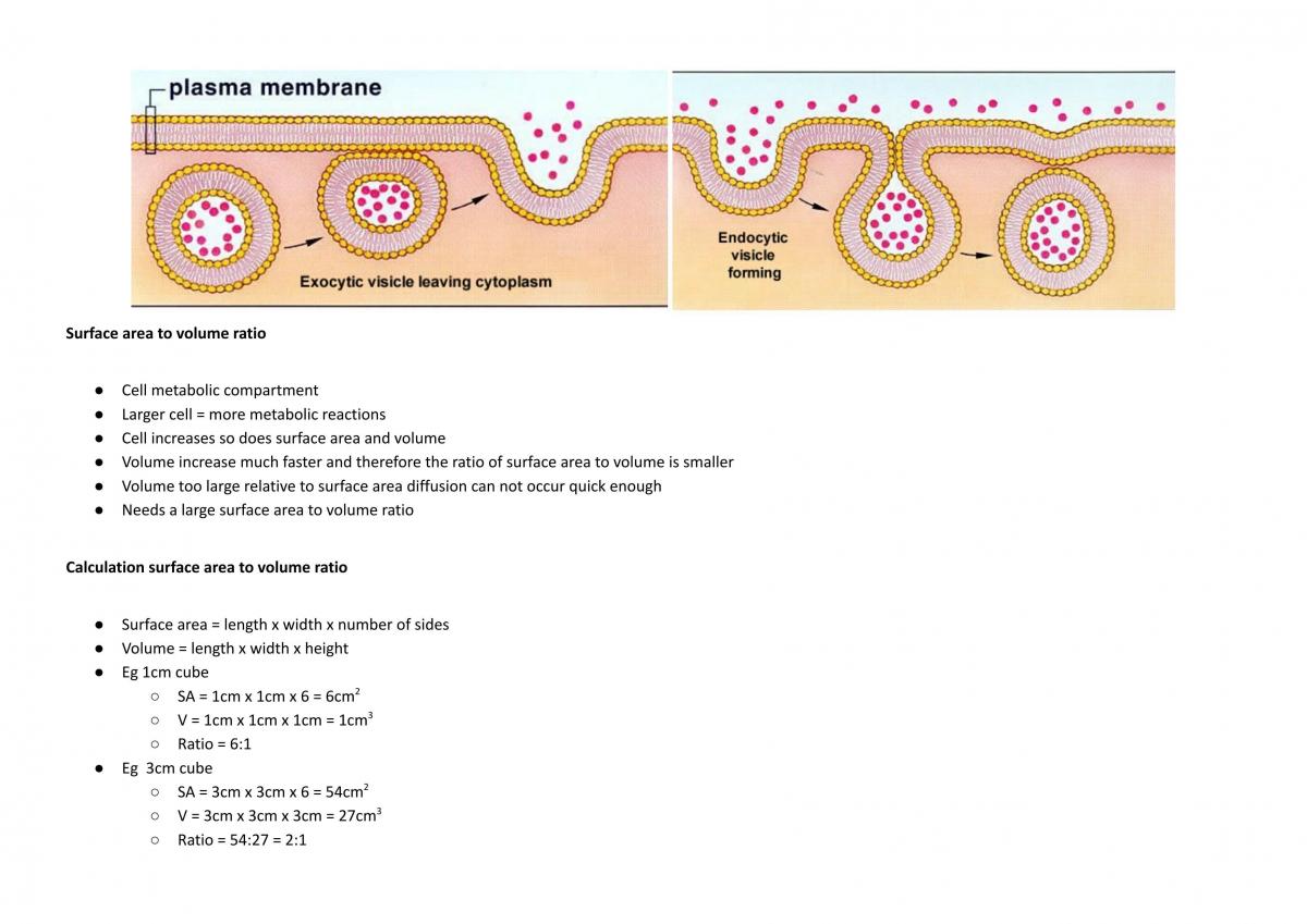 Prelim Bio Notes - Page 22