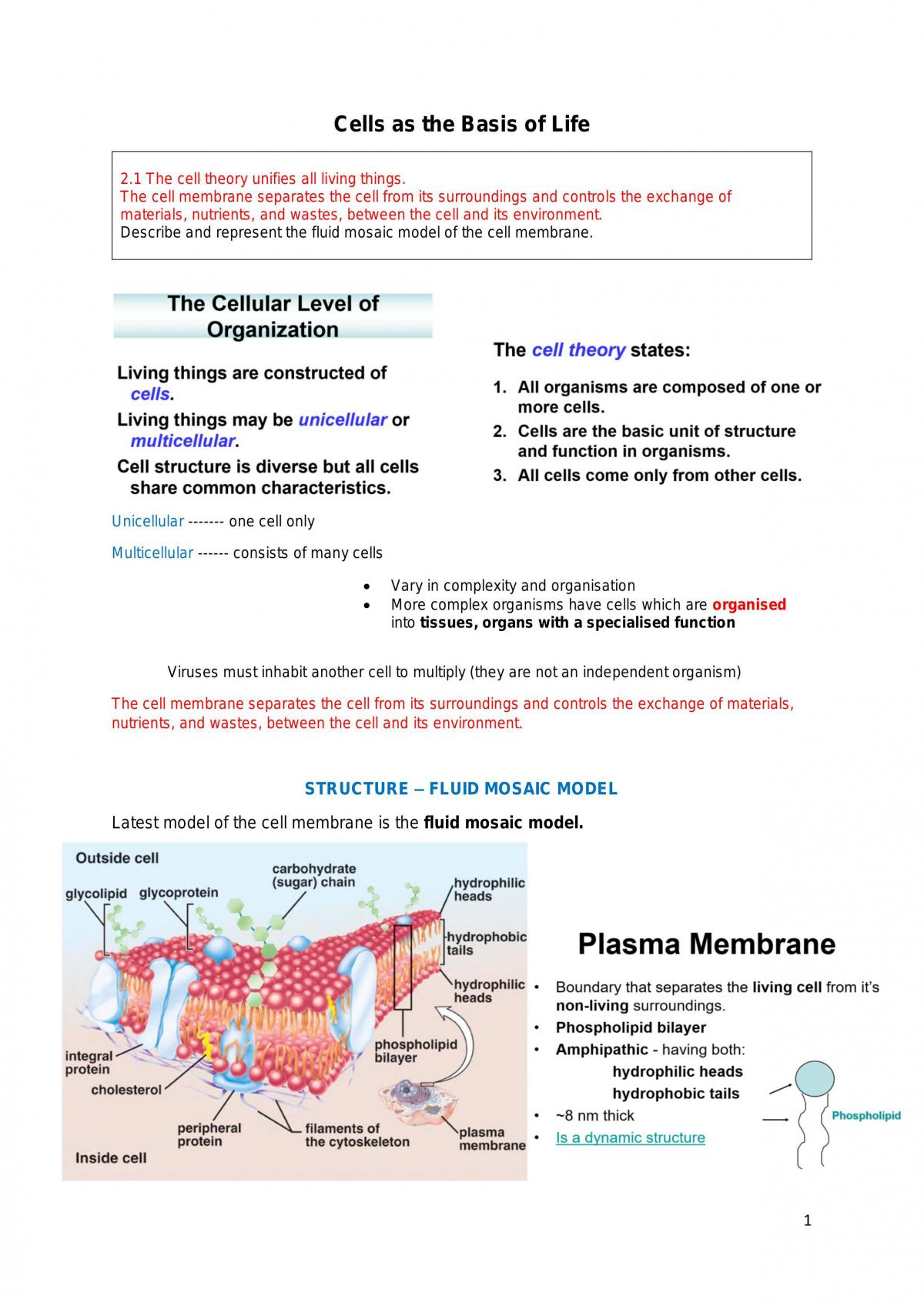 Biology Cells Notes - Page 2