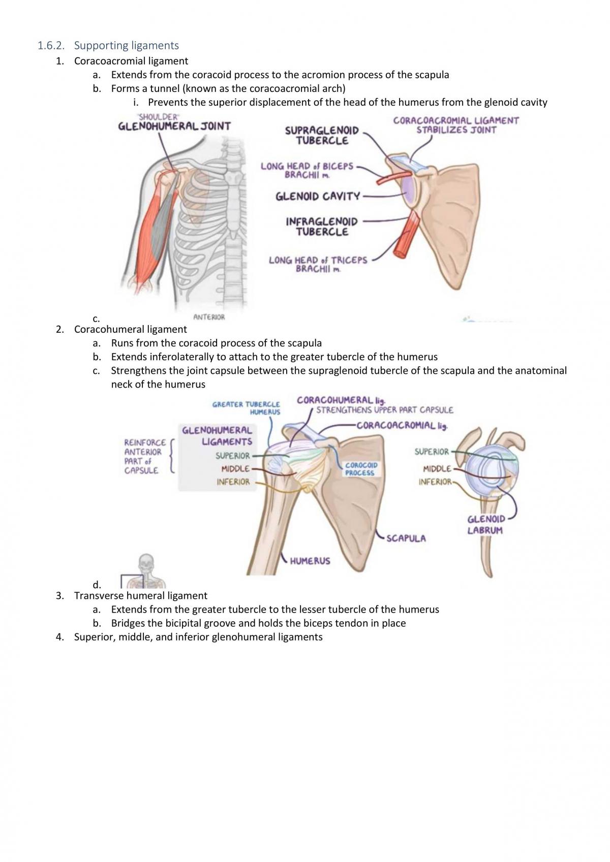 Shoulder Notes | MMSK 6238 - Musculoskeletal System - MAHSA | Thinkswap