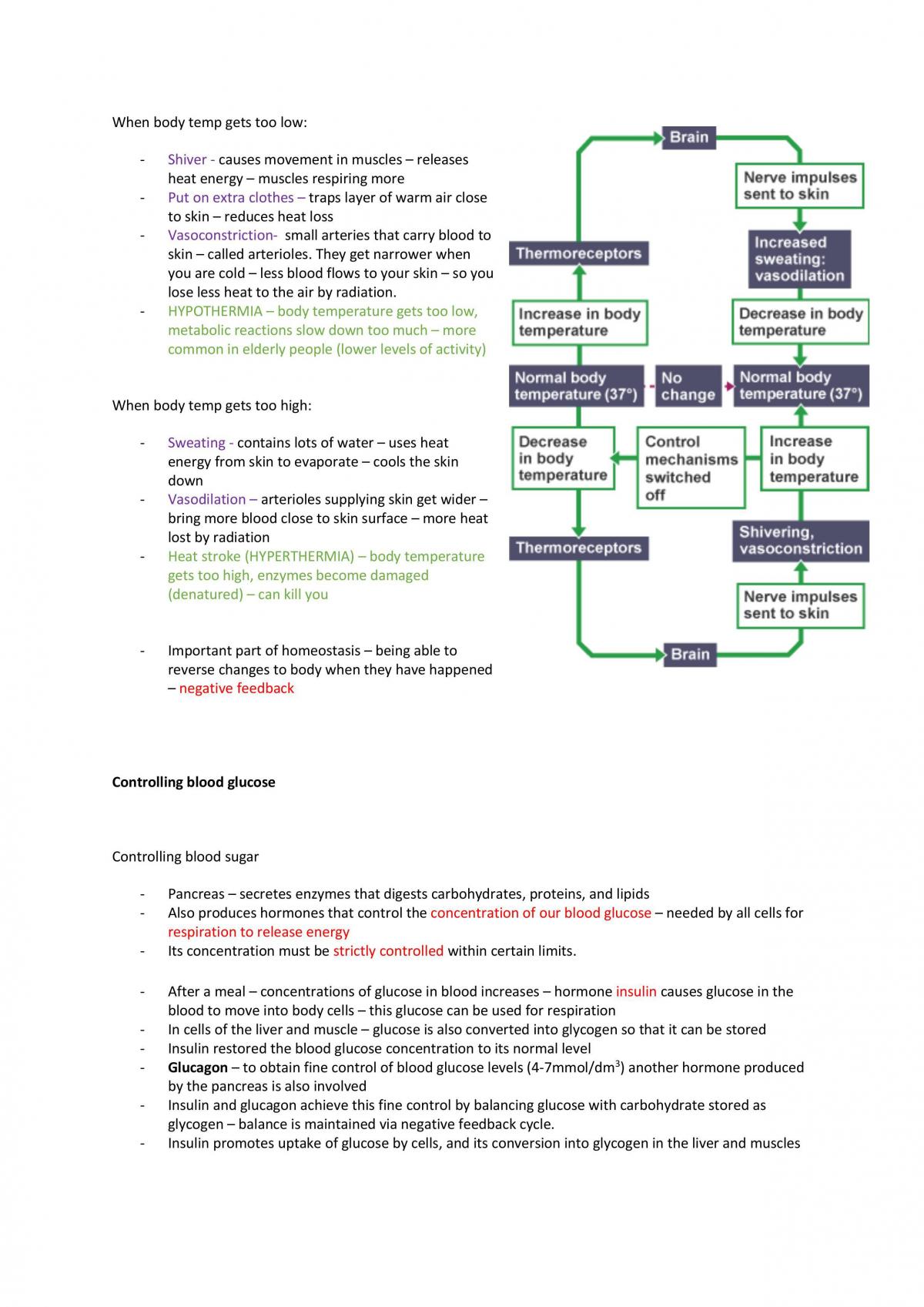 Biology Complete notes  - Page 40
