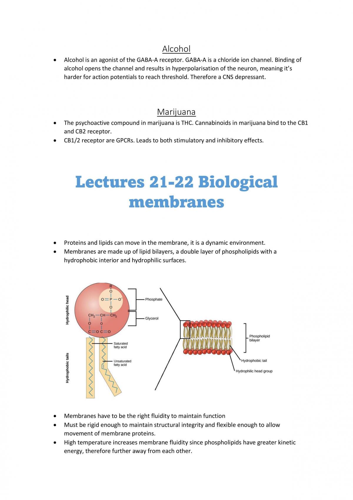 Foundations of Biochemistry Notes - Page 28