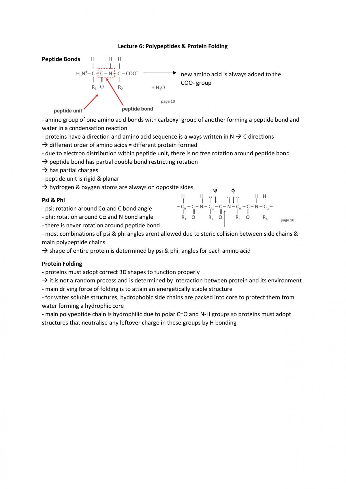 Molecules of Life Comprehensive Notes - Page 11