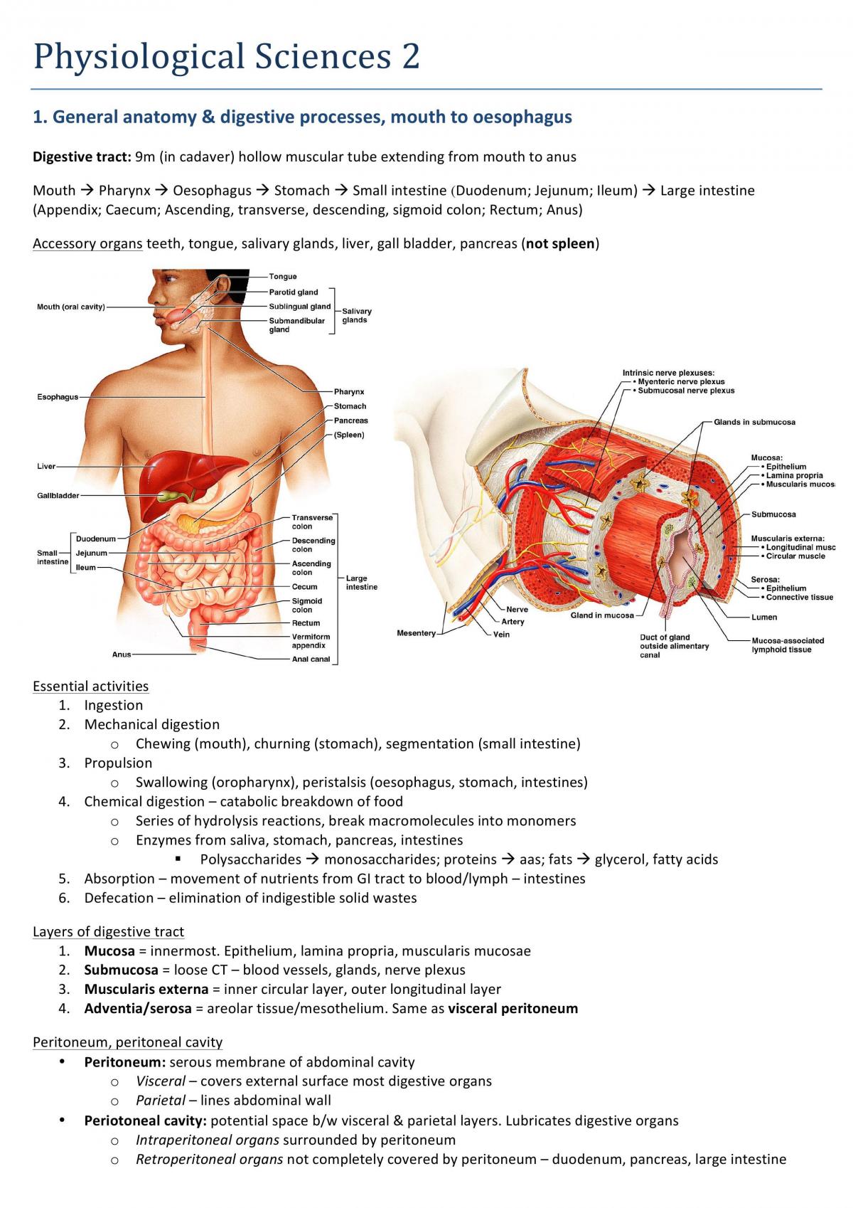 BMS130 notes - Page 22