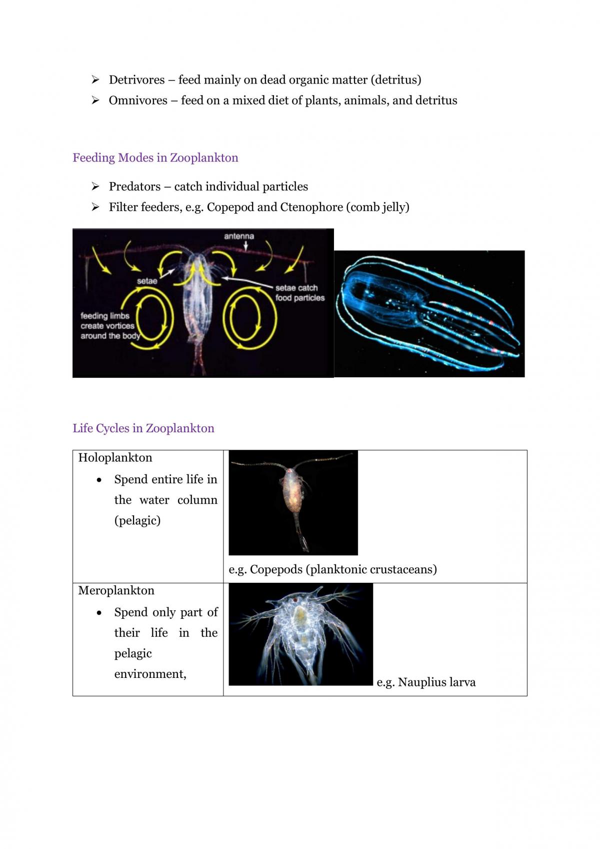 Study Notes for Biological Oceanography - Page 20