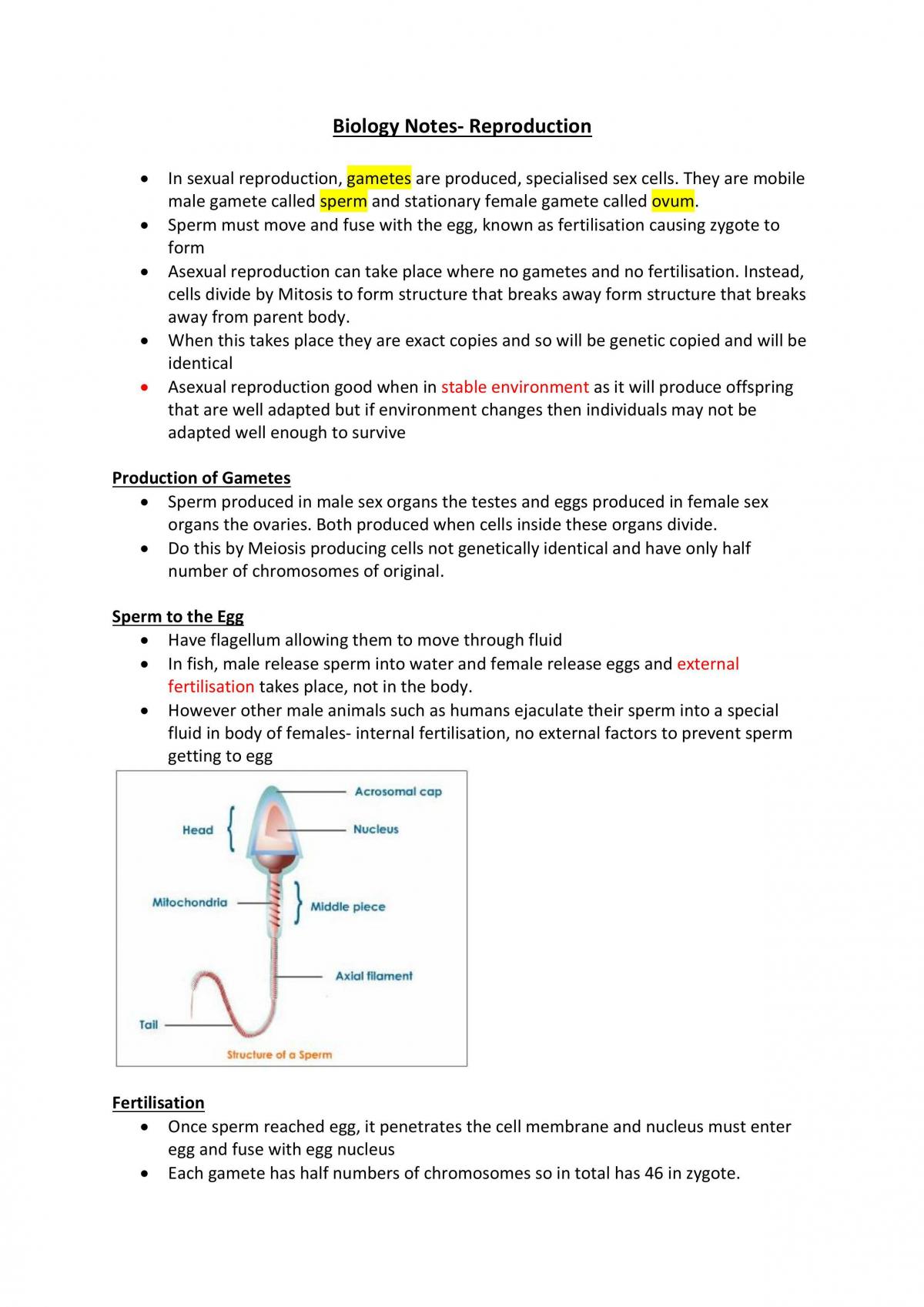 Higher Biology Notes (9 Quality) - Page 19