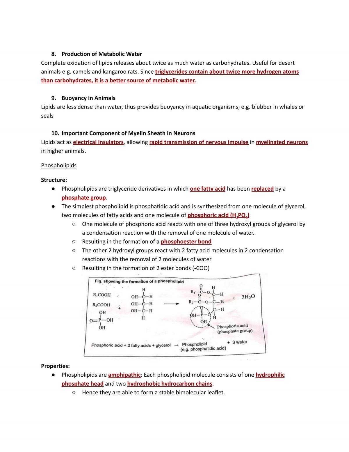 The Cell & Biomolecules of Life  - Page 26