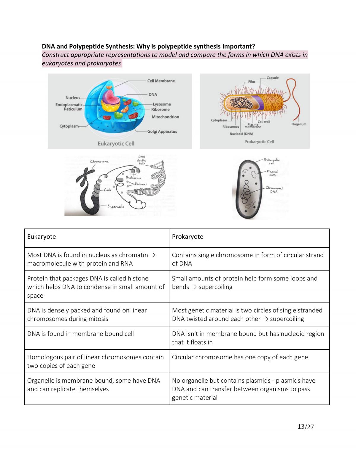Module 5 - Hereditary  - Page 13