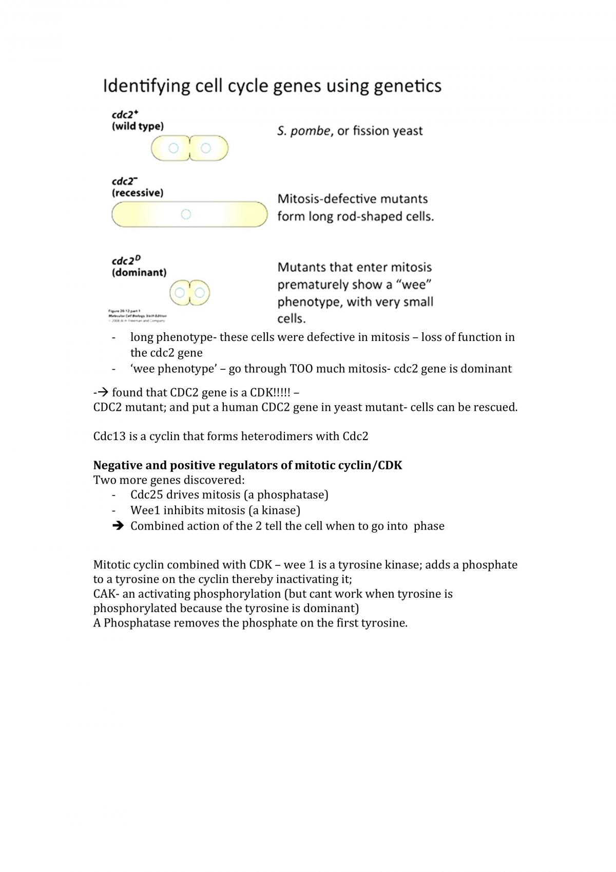 Exam Notes - Page 14