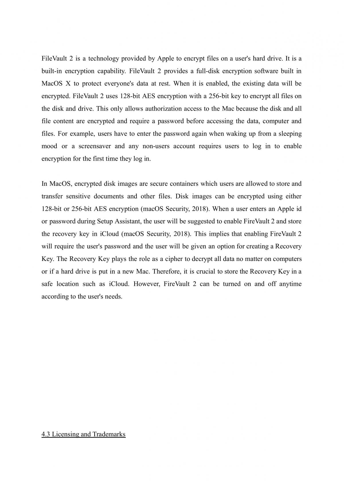 Essay discussing the Apple website - Page 18