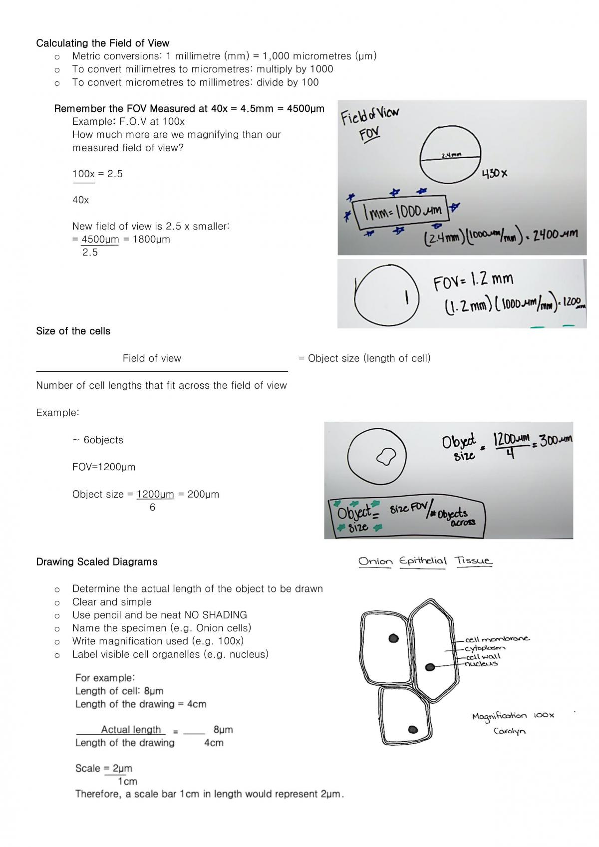 Complete Biology Preliminary Notes - Page 7