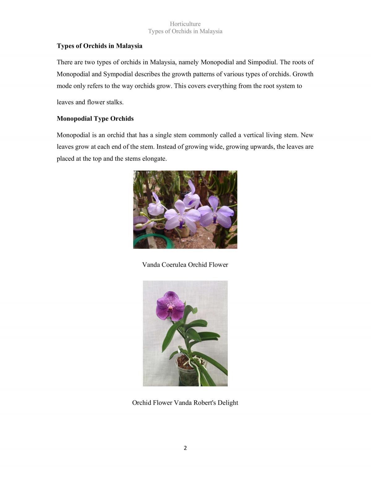 Types Of Orchids in Malaysia - Page 2