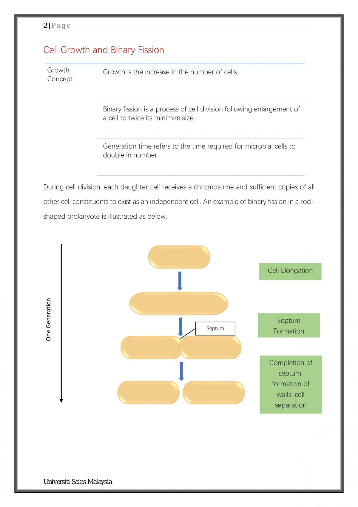 Population Growth - Page 2