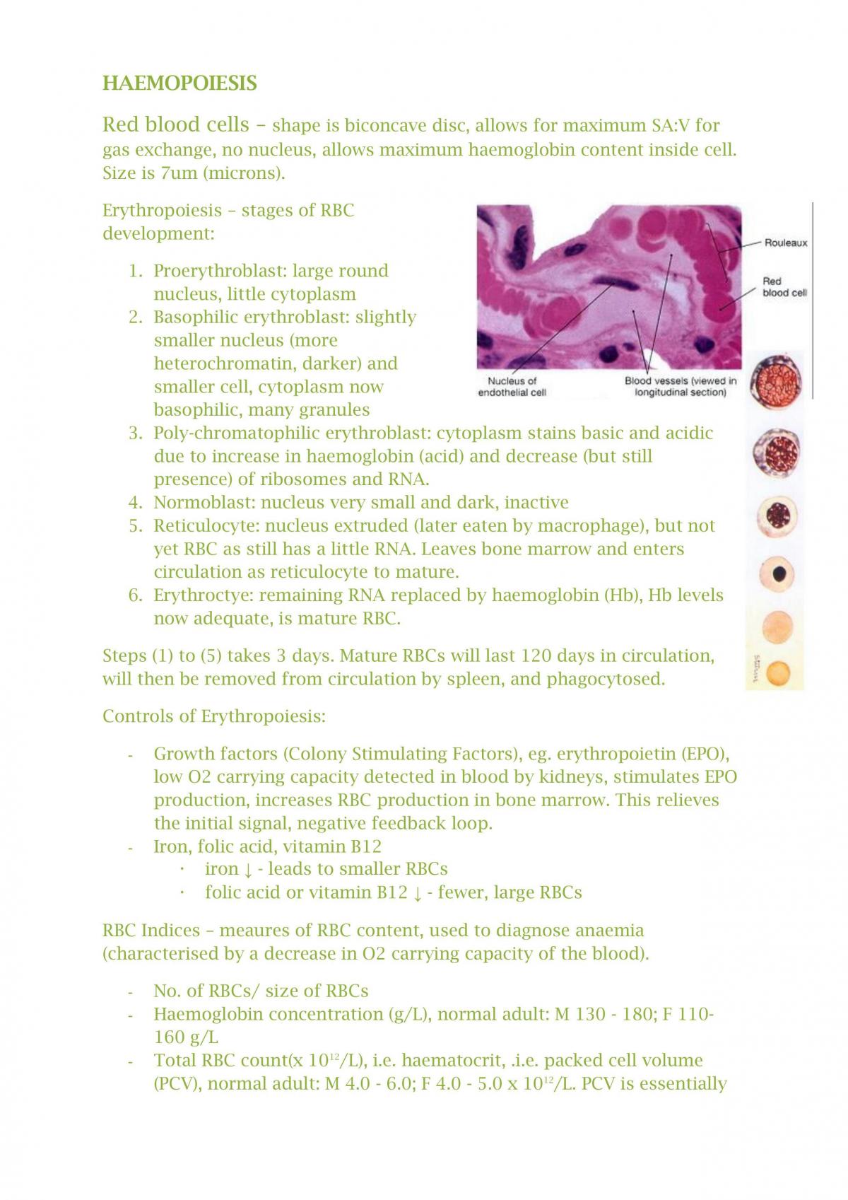 Study Notes - Page 27